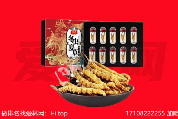 东营回收虫草.jpg